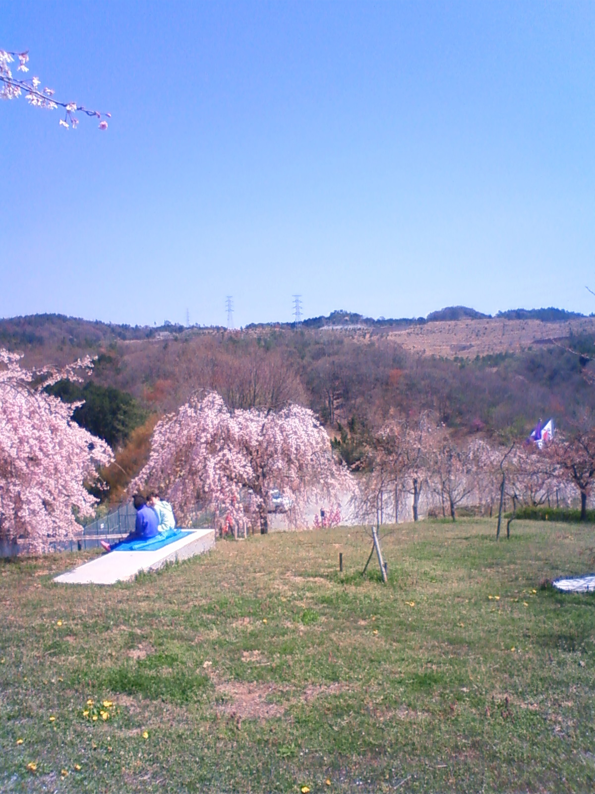 NEC_0885.JPG