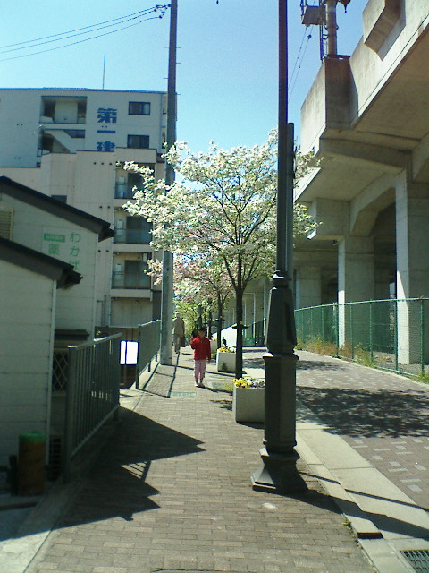 F1000236.JPG