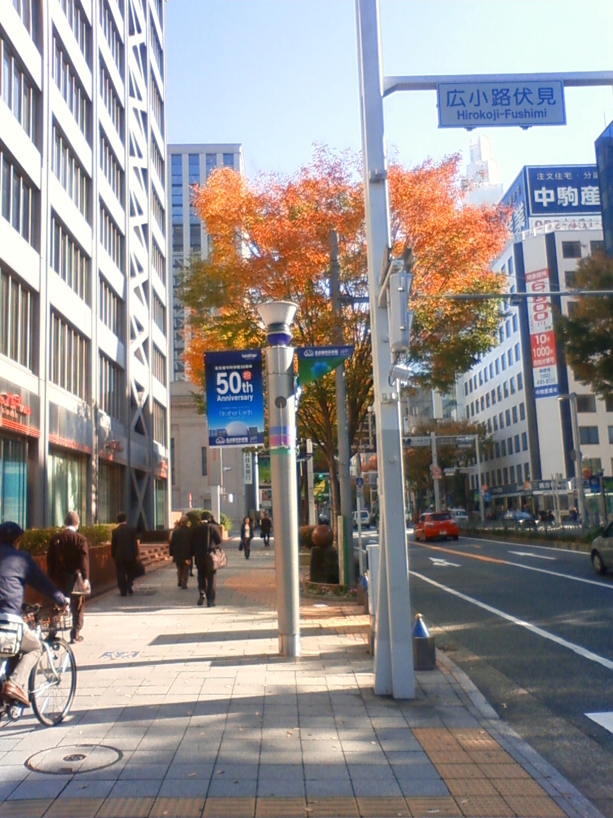 NEC_0203.JPG