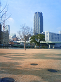 NEC_0508_thumb.png