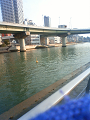 NEC_0513_thumb.png