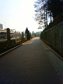 NEC_0517_thumb.png