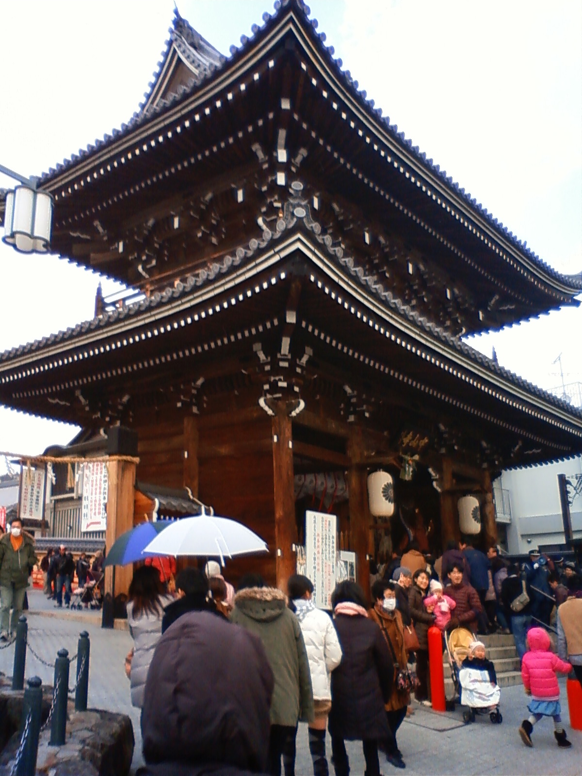 NEC_0392.JPG