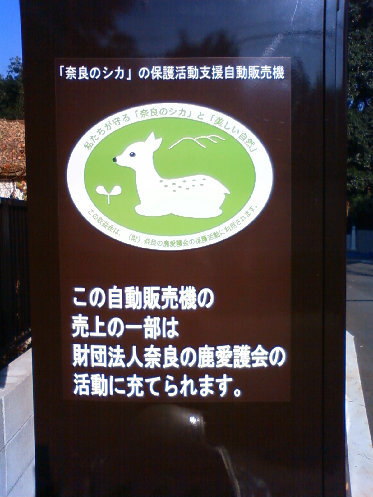 NEC_0303.JPG