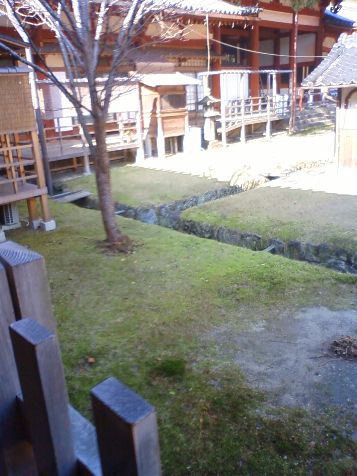 NEC_0326.JPG