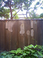 NEC_1131_thumb.png