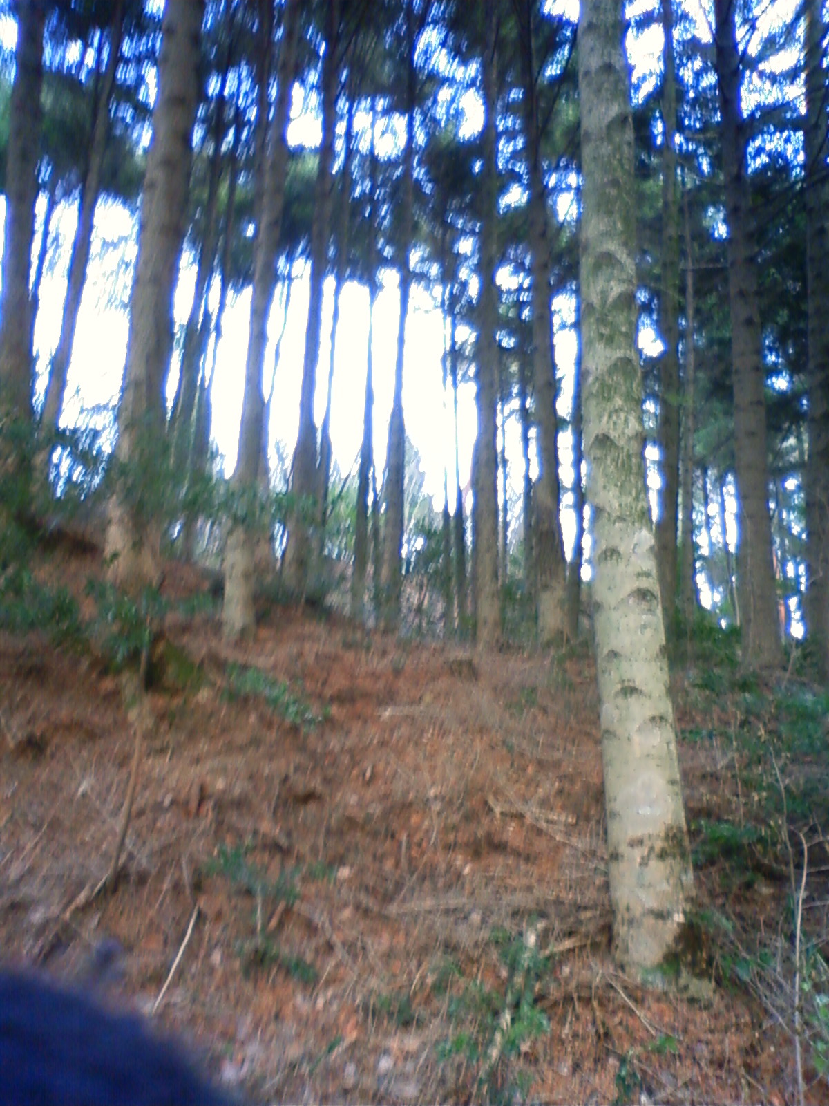 NEC_0746.JPG