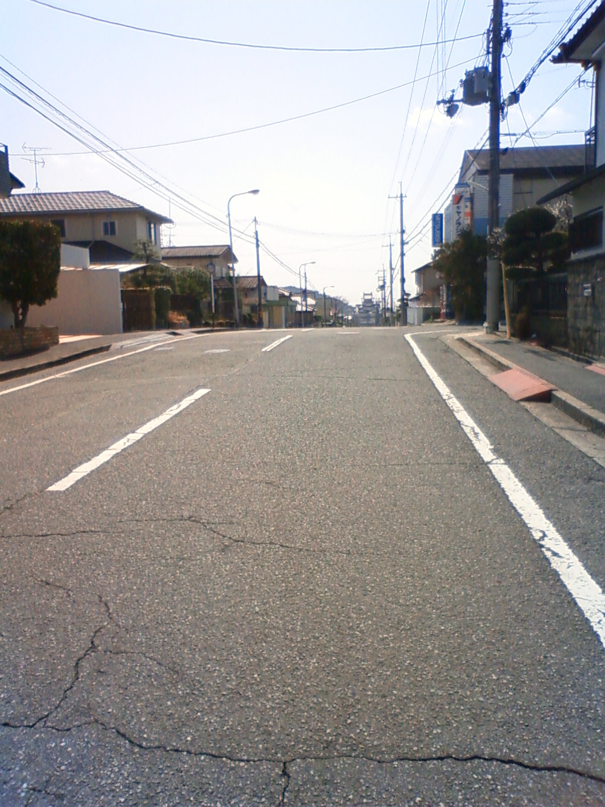 NEC_0772.JPG