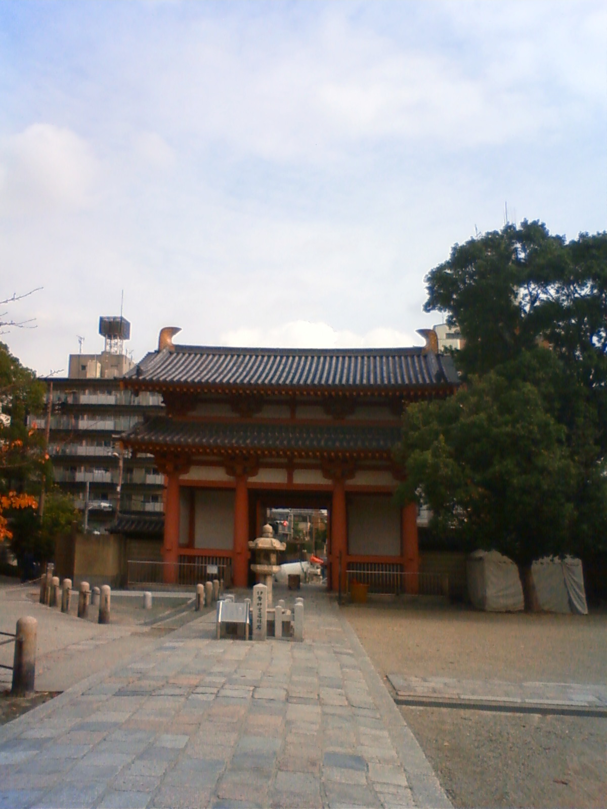 NEC_0251.JPG